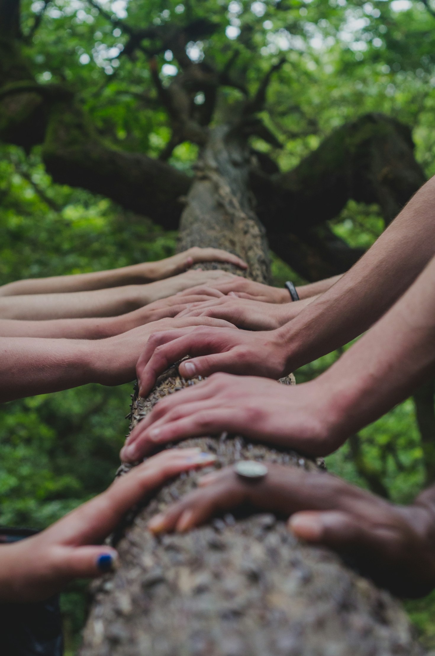 Top Ways to Improve Your Neighborhood Through Advocacy